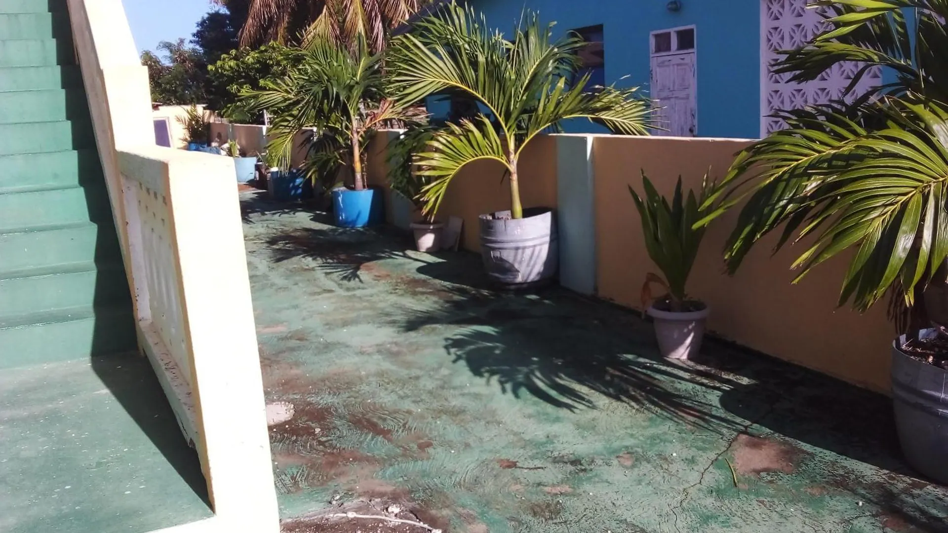 Apartment Palm View Room 1 Christ Church Barbados